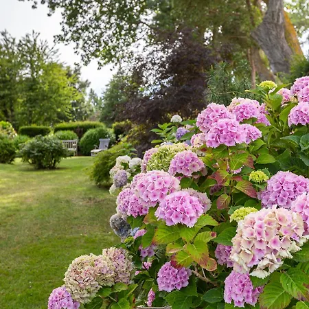 Haus Am Hohen Ufer 01 شقة *